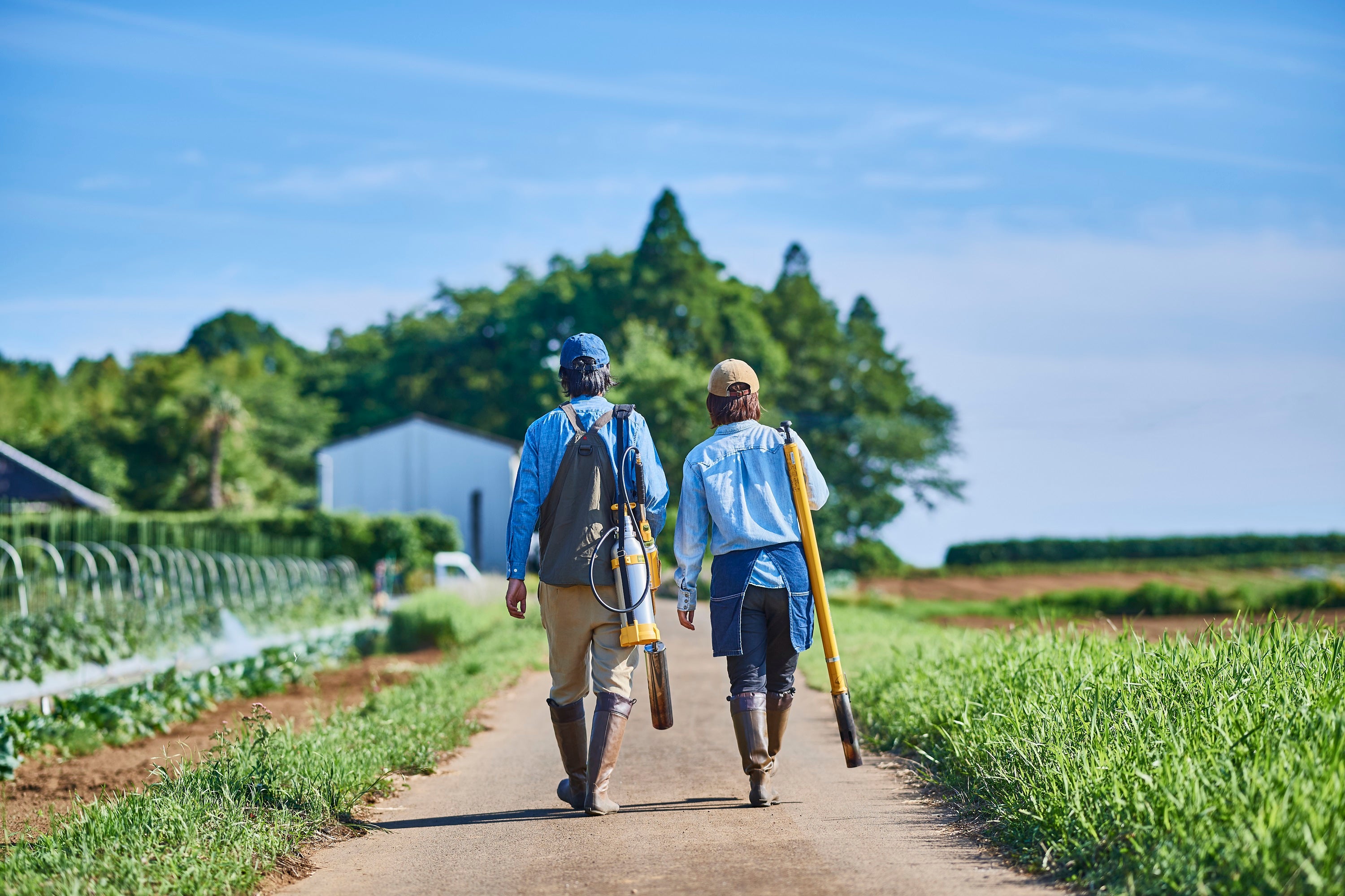 Shinfuji Burner(草焼バーナー) – SOTO by Shinfuji Burner ONLINE STORE