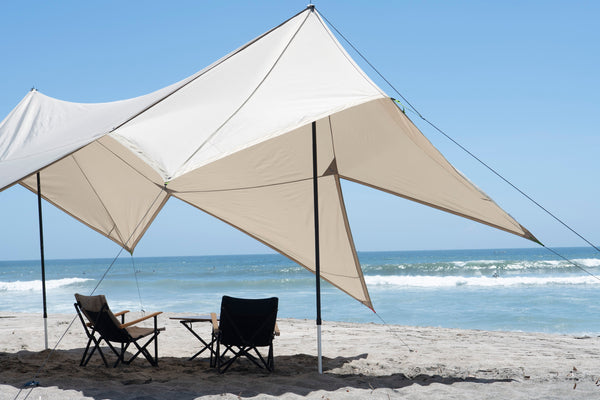 DSC9003_grande.jpg?v=1738335681